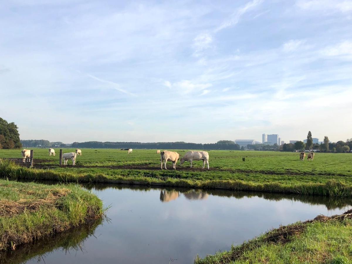 Villa Antonius Amsterdam Ouderkerk aan de Amstel Exteriér fotografie